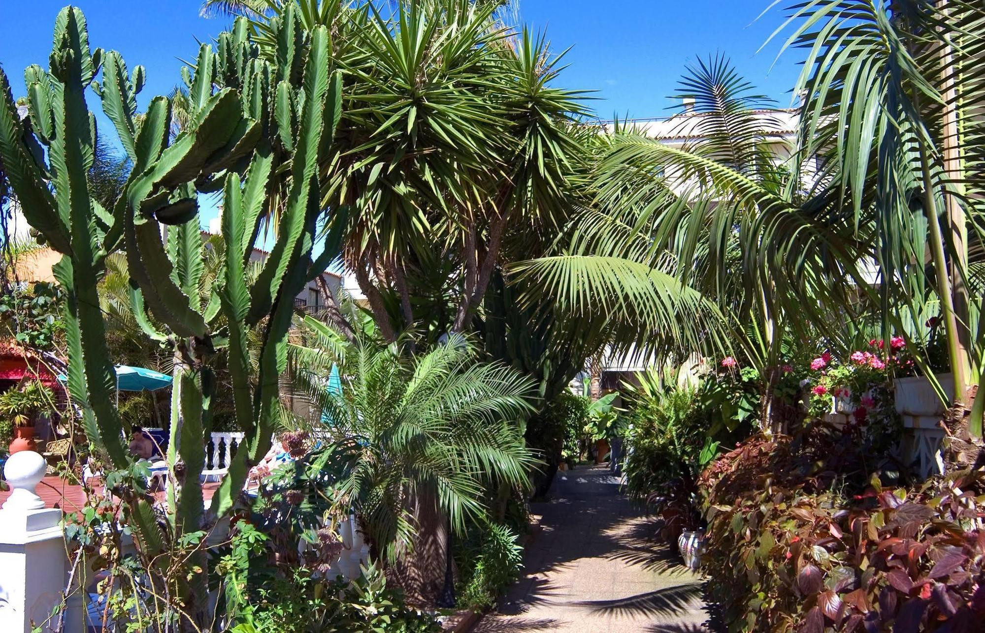Hotel Don Manolito Puerto de la Cruz Kültér fotó